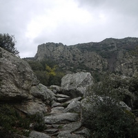 Photo de france - La randonnée du Mont Caroux